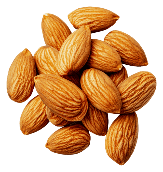 Almond (কাঠ বাদাম)